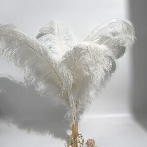 Ostrich feathers 29.5 inches and above/75cm and above