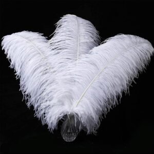 Ostrich feathers 23.6-25.6 inches/60-65cm