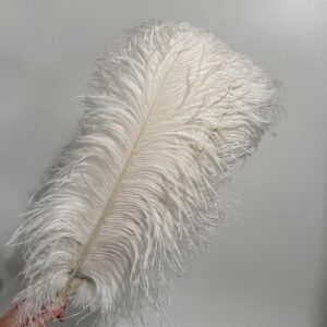 Ostrich feathers 25.6-27.6 inches/65-70cm