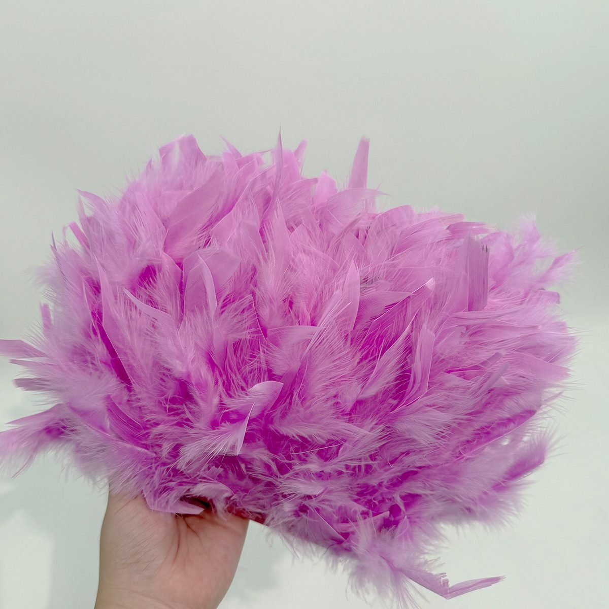 Light purplish red 35