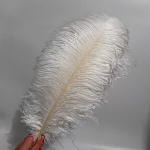 Ostrich feathers 21.7-23.6 inches/55-60cm