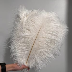 Ostrich feathers 17.7-19.7 inches/45-50cm
