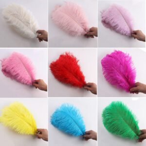 Ostrich feathers 9.8-11.8 inches/25-30cm