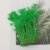 Grass Green 10