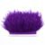 Purple 11