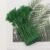 Military Green 15
