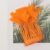 Orange-Red 19