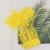 Yellow 02