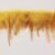 01 Yellow 02