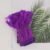 Purple 03