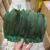 Dark Green 36