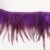 Purple 03