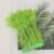 Fruit Green 04