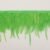Fruit Green 04