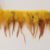 Golden Yellow 50