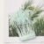 White Green 52