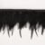 Black 08