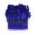 Royal Blue 05