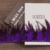 Purple 03