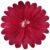 Bright Red 01