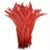 Bright Red 01