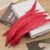 Bright Red 01