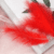 Bright Red 01