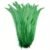 Grass Green 10