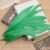 Grass Green 10