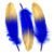 11 Royal Blue