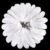White 13
