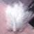 White 13