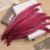 Wine Red 014
