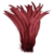 Wine Red 014