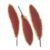 14 Gold powder Wine Red