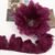 Wine Red 014