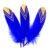 Royal Blue 05