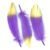 17 Light Purple