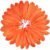 Orange-Red 19