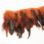 Orange-Red 19