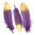 20 Purple