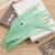 Mint Green 21