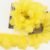 Yellow 02