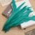 Peacock Green 024