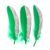 Half-sided Silver-dust Grass — Green