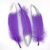 Purple 03-1