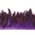 Purple 03