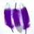 Purple 03