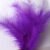 Purple 03
