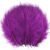 Purple 03